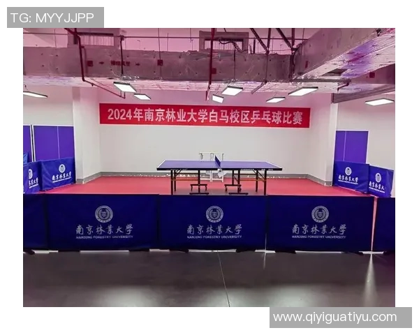 南京乒乓球队的转型之路：从传统到现代的纪实探索与发展历程