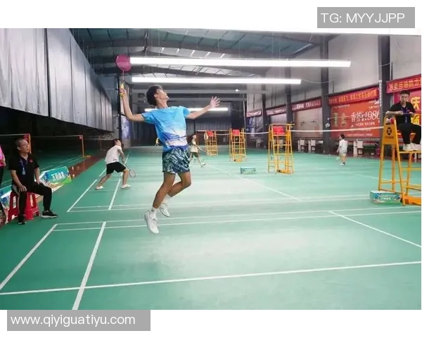 体育实时数据赵静倾情分享羽毛球技巧与心得助你提升竞技水平