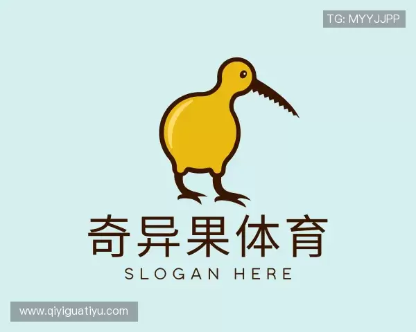 发现奇异果体育官网